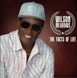 Wilson Meadows net worth & bio