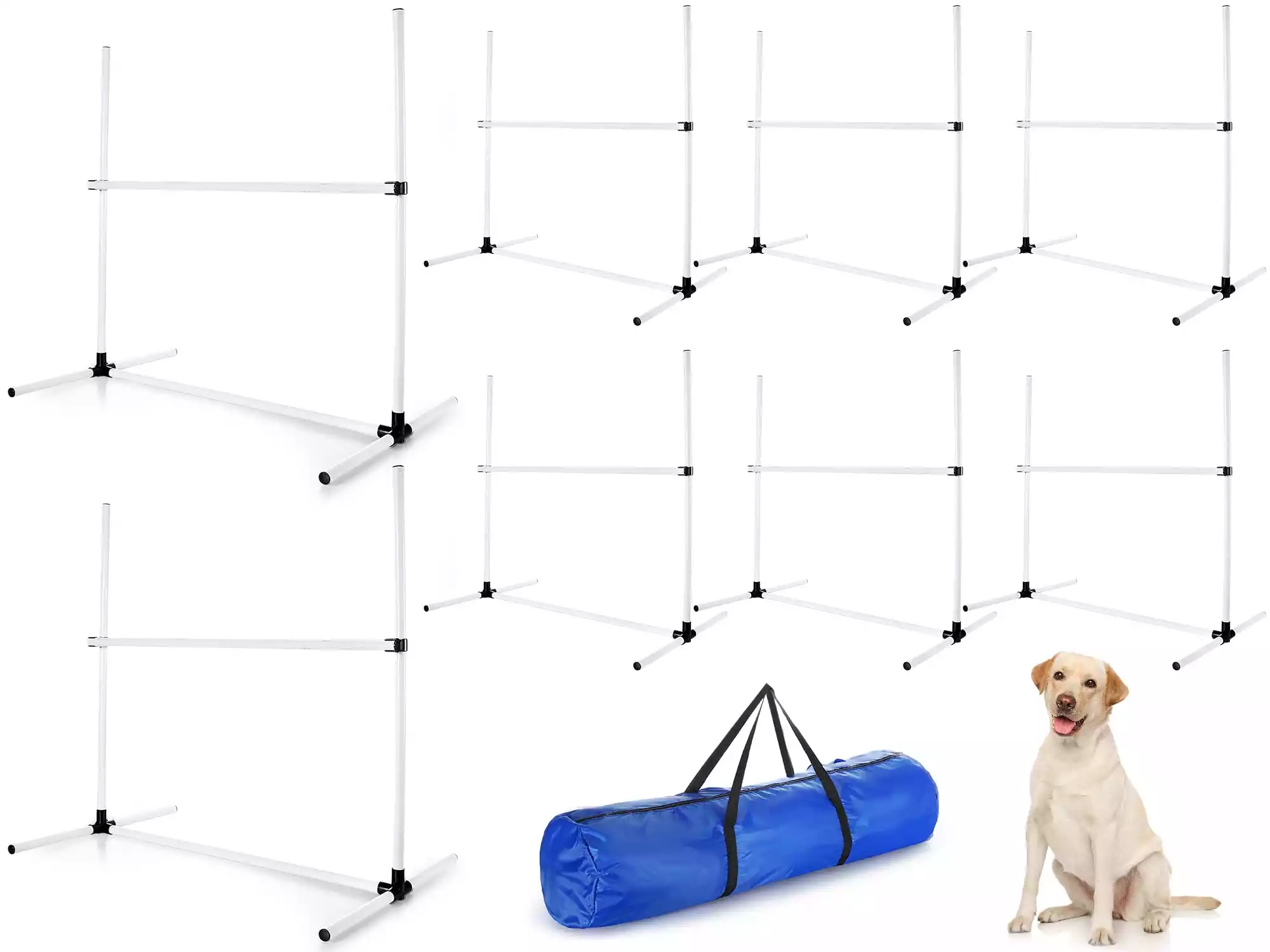 8.Dog agility equipment list