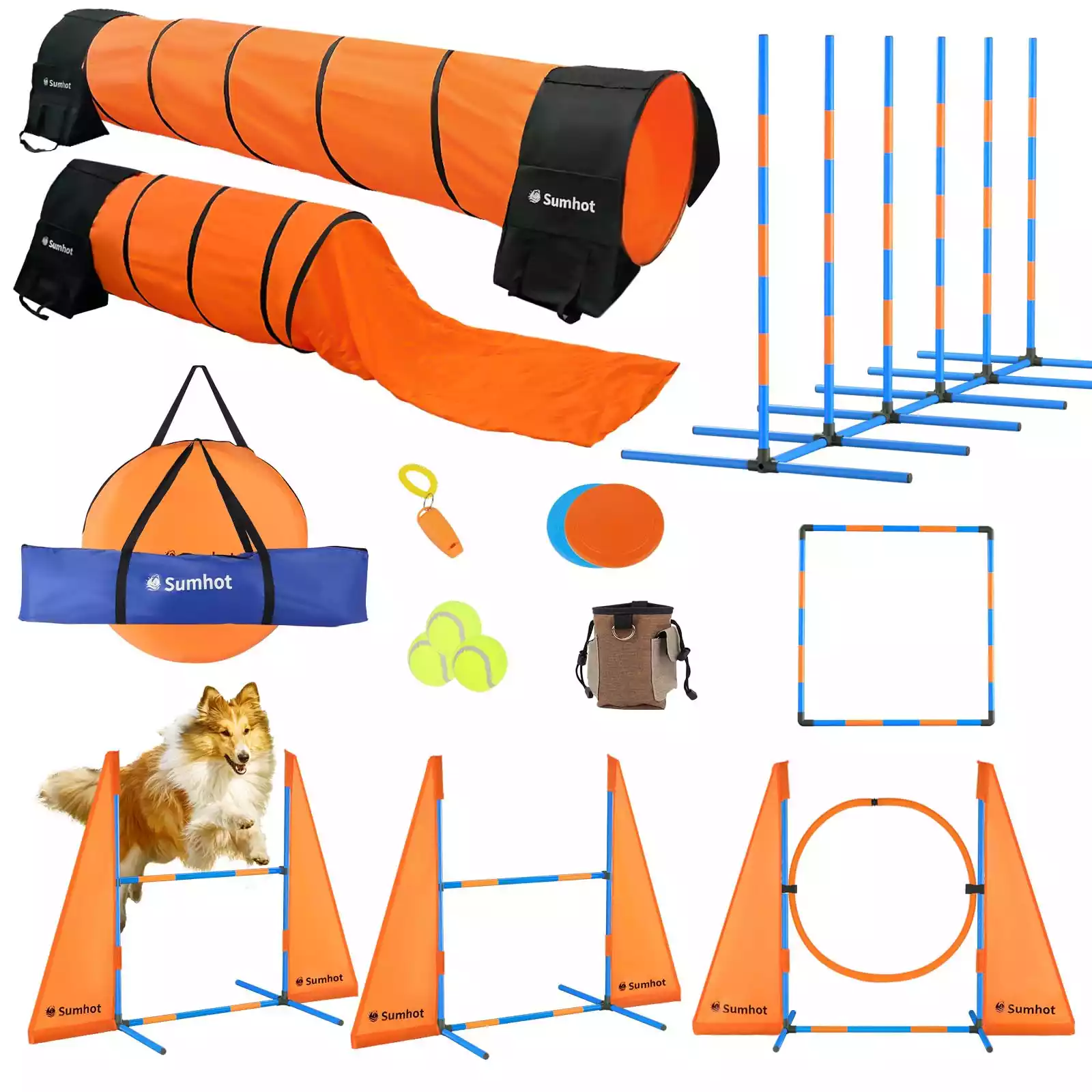 8.Dog agility equipment list