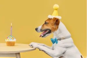 Cupcake Puns: The Undiscovered Sweet Jokes and Delicious Laughs!