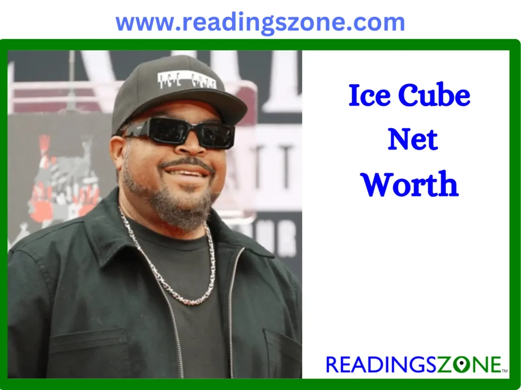 ice cube net worth